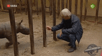 10.gif