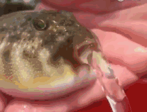 微信图片_20180801162518.gif