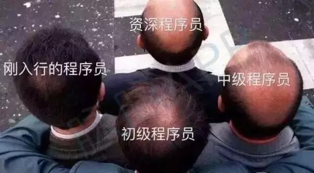 4.jpg 4.jpg