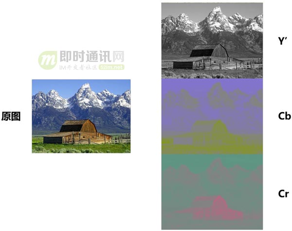 即时通讯音视频开发（十九）：零基础，史上最通俗视频编码技术入门_8.jpg