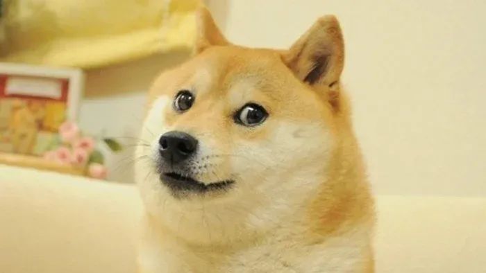1661247471285821.jpg 在2.jpg